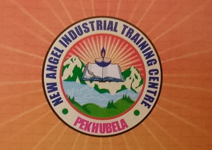 New Angel Pvt ITI, Pekhubela Logo